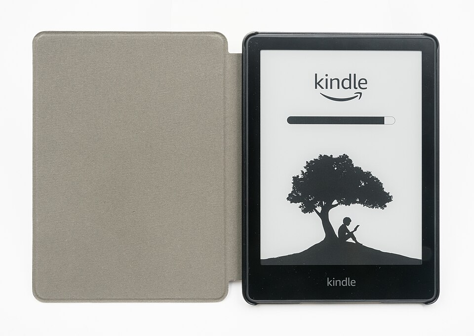 Bestselling Novel (eBook)